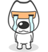 得实/DASCOM